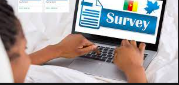 High Paying Surveys That Pay Through Paypal