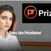 Sites like PrizeRebel
